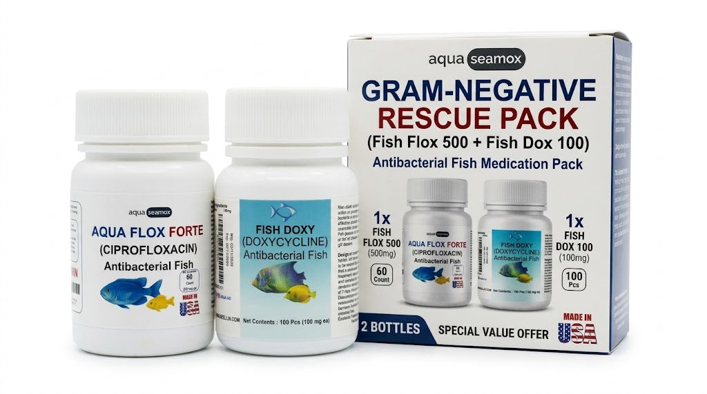 Gram-negative rescue pack box with Aqua Flox Forte 500 mg and Fish Doxy 100 mg for ornamental aquarium fish, two bottles