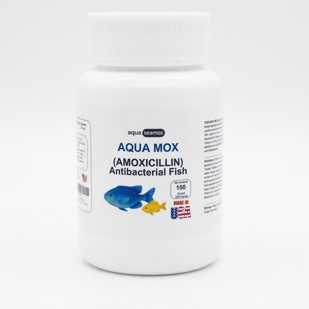 Aqua Mox amoxicillin 250 mg antibacterial for ornamental aquarium fish, 100-count bottle