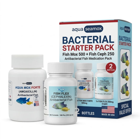 Bacterial starter pack box with Aqua Mox Forte 500 mg and Fish Flex 250 mg for ornamental aquarium fish, two bottles