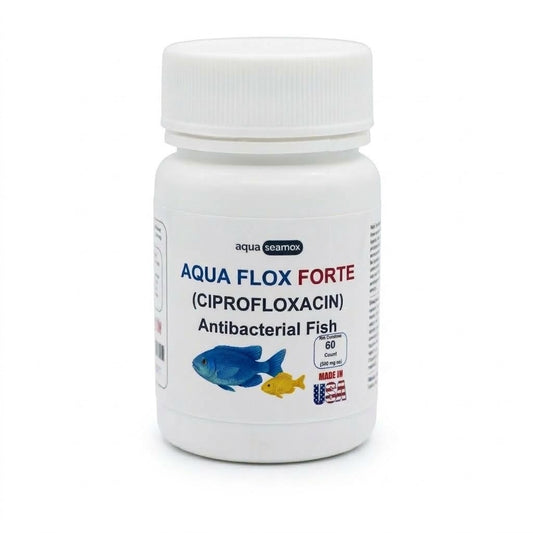 Aqua Flox Forte ciprofloxacin 500 mg antibacterial for ornamental aquarium fish, 60-count bottle