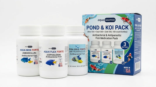 Pond and Koi pack box with Aqua Mox Forte 500 mg, Aqua Flex Forte 500 mg and Fish Zole Forte 500 mg for ornamental aquarium fish and ponds, three 100-count bottles