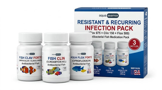 Resistant and recurring infection pack box with Fish Clav Forte 875 mg, Fish Clin 150 mg and Aqua Flox Forte 500 mg for ornamental aquarium fish, three bottles