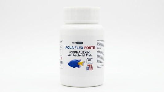 Aqua Flex Forte cephalexin 500 mg antibacterial for ornamental aquarium fish, 100-count bottle