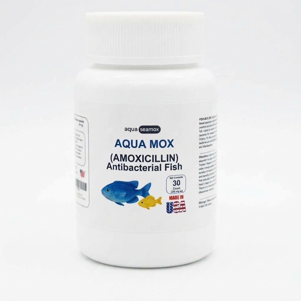 Aqua Mox amoxicillin 250 mg antibacterial for ornamental aquarium fish, 30-count bottle