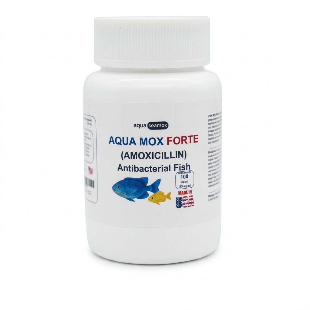 Aqua Mox Forte amoxicillin 500 mg antibacterial for ornamental aquarium fish, 100-count bottle