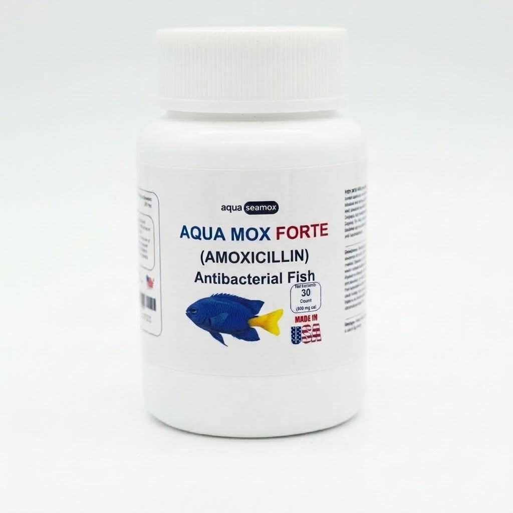 Aqua Mox Forte amoxicillin 500 mg antibacterial for ornamental aquarium fish, 30-count bottle